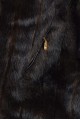 Дамско яке от естествена кожа 72.00 лв.